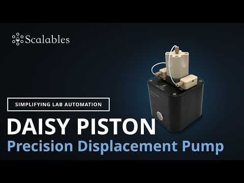 Daisy Piston Quickstart