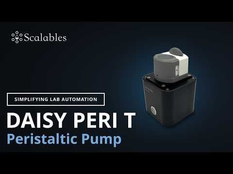 Daisy Peri T Quickstart