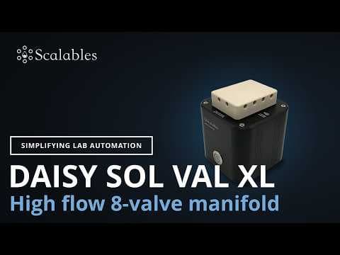 Daisy Sol Val XL Quickstart