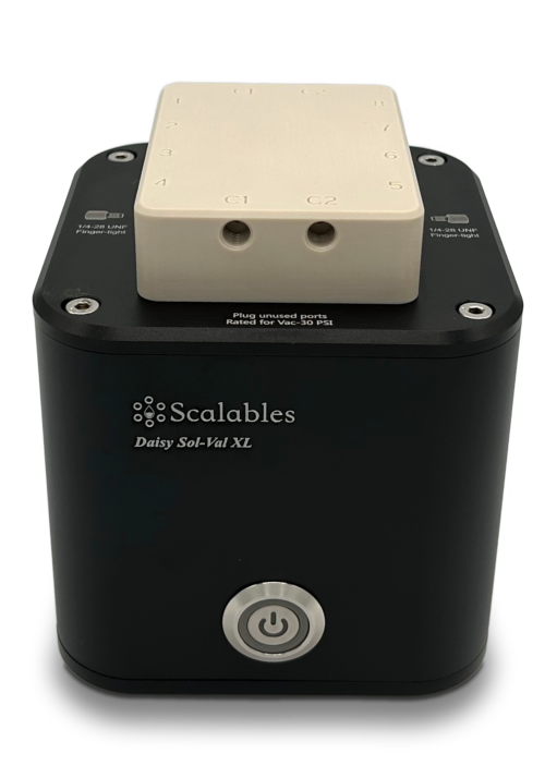 Daisy Sol Val XL - Image 3