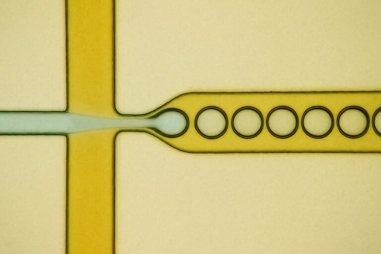 Introduction to Microfluidic Droplet Generation and Single-Cell Applications